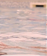 484.jpg
