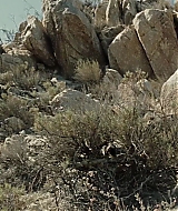 Filename=0020.jpg
Filesize=660KiB
Dimensions=1920x800
Date added=Jun 23, 2023 0020.jpg