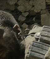 1083.jpg