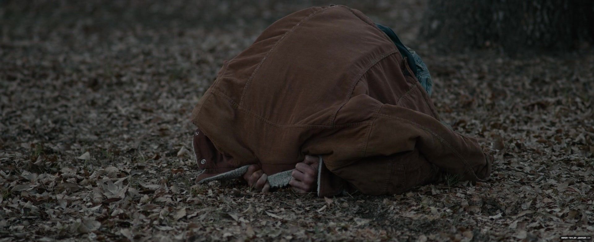 1602.jpg