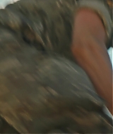Filename=0384.jpg
Filesize=290KiB
Dimensions=1920x800
Date added=Jun 27, 2026 0384.jpg